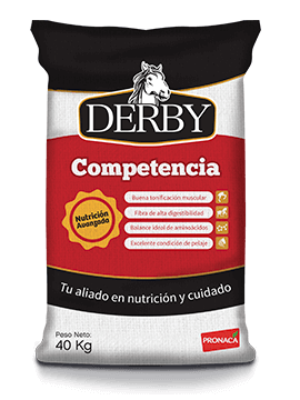 Derby Competencia