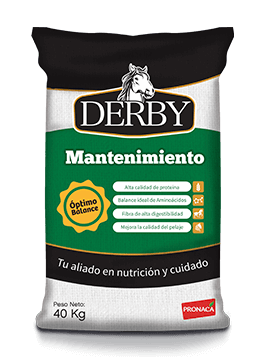 Derby Mantenimiento