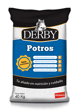 Derby Potros